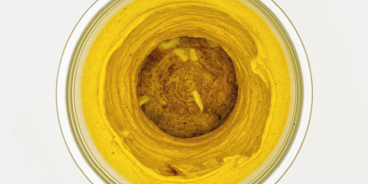 Korma concentrate